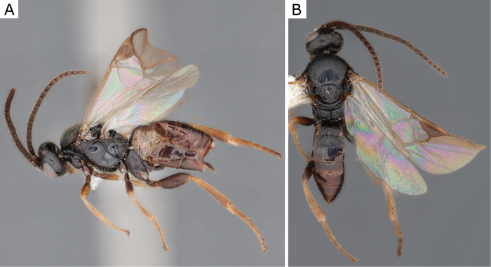 Figure 46.