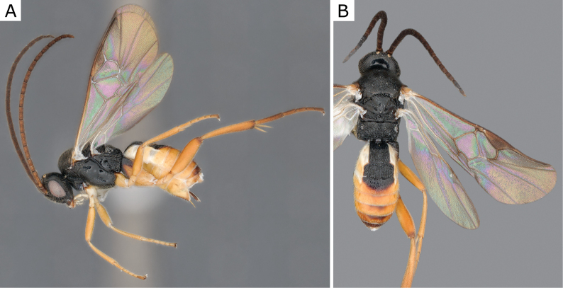 Figure 17.