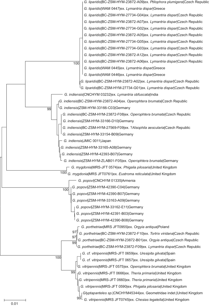 Figure 24.