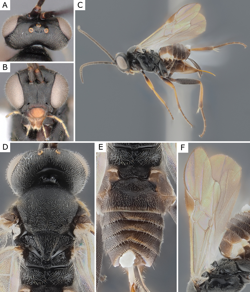 Figure 30.