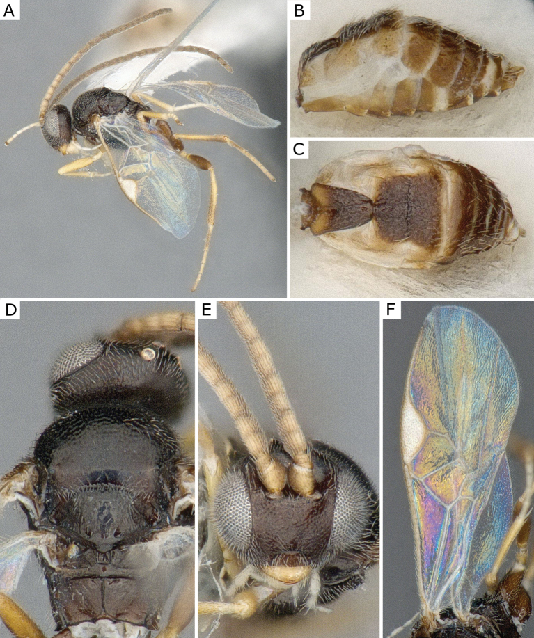 Figure 19.