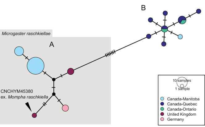Figure 36.