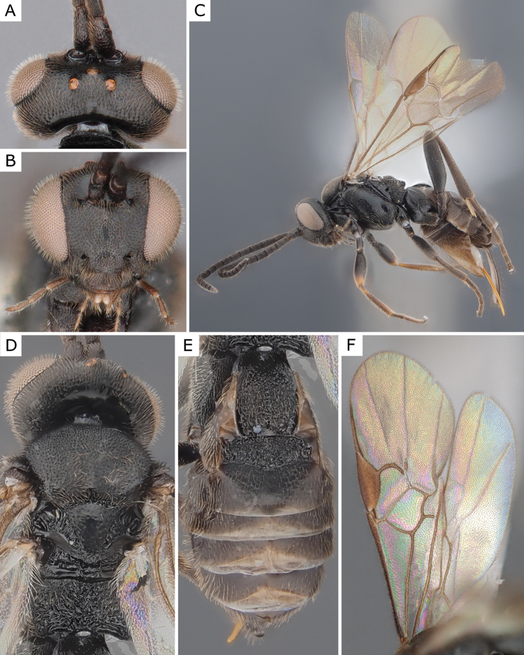Figure 29.