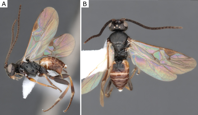 Figure 49.