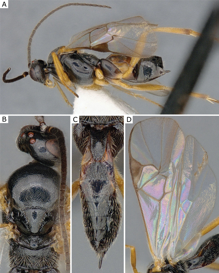 Figure 28.