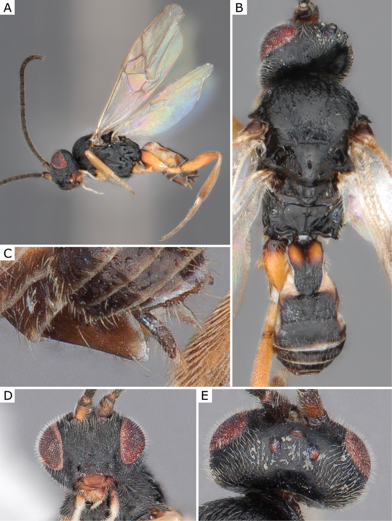 Figure 18.