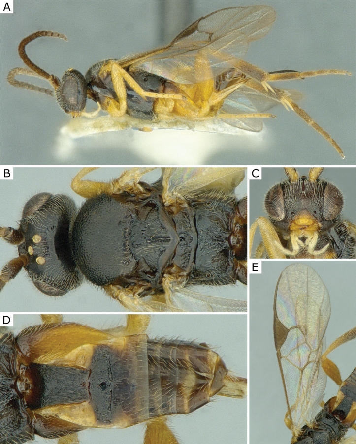 Figure 9.