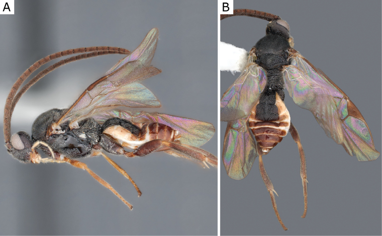 Figure 45.
