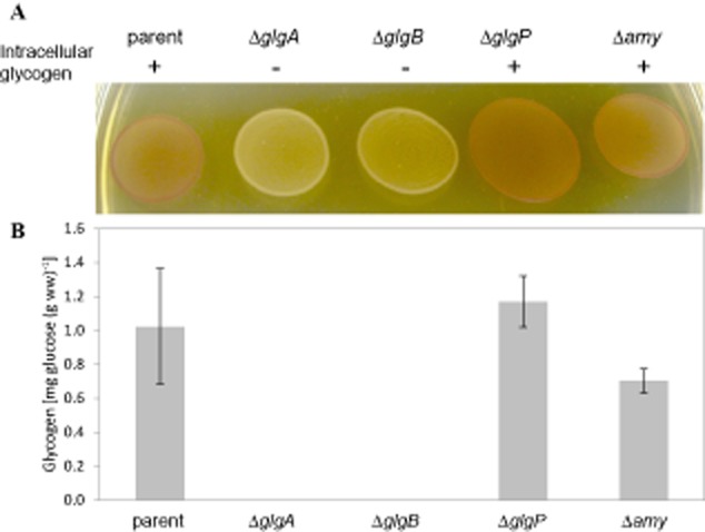 Fig 5