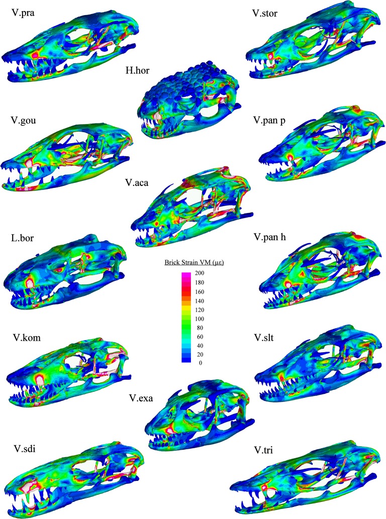 Fig 10