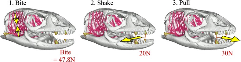 Fig 3