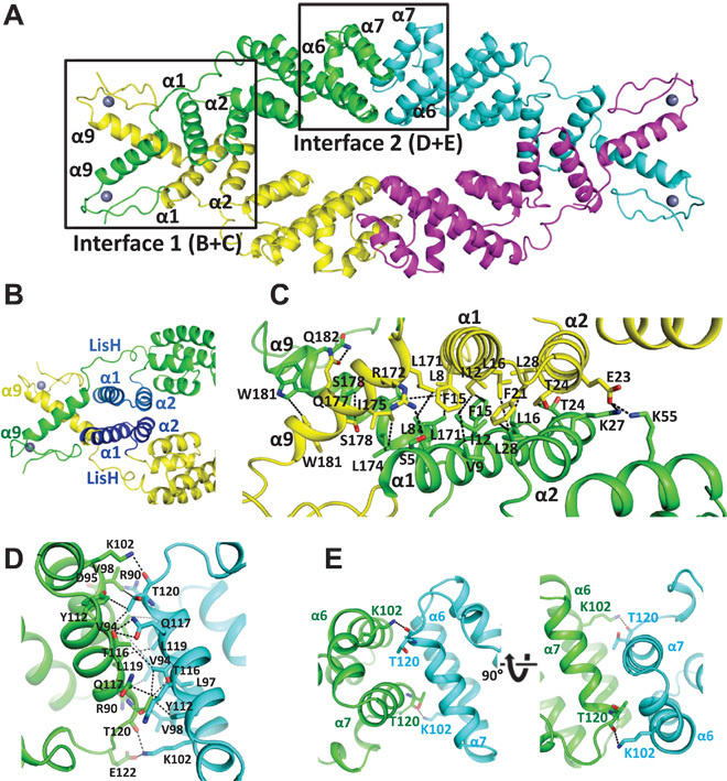 Fig. 3