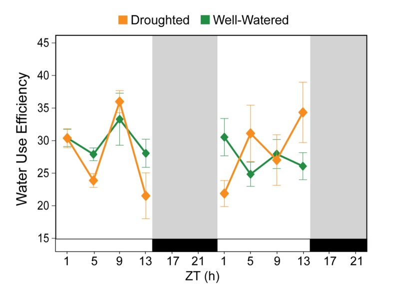 Figure 3—figure supplement 1.