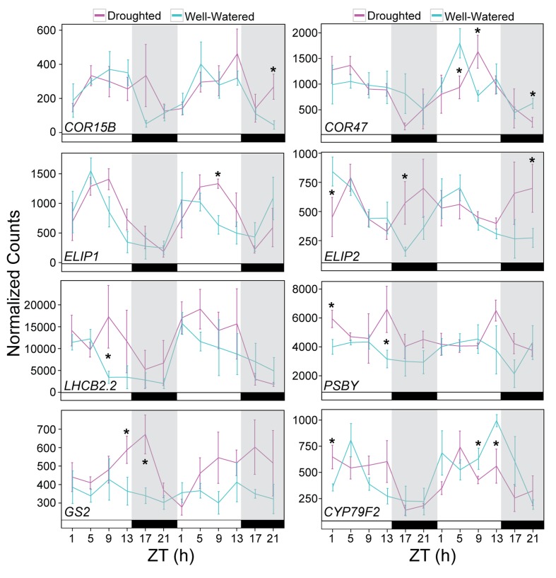 Figure 10.