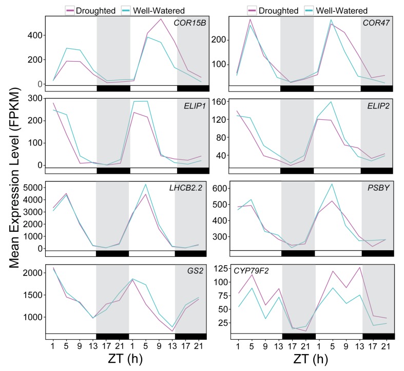 Figure 10—figure supplement 2.