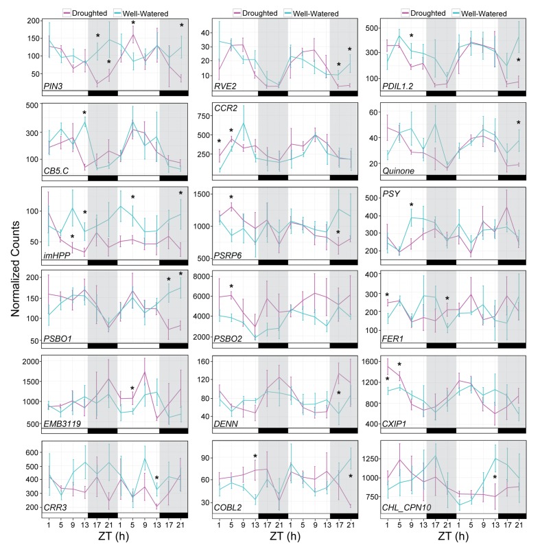 Figure 10—figure supplement 1.