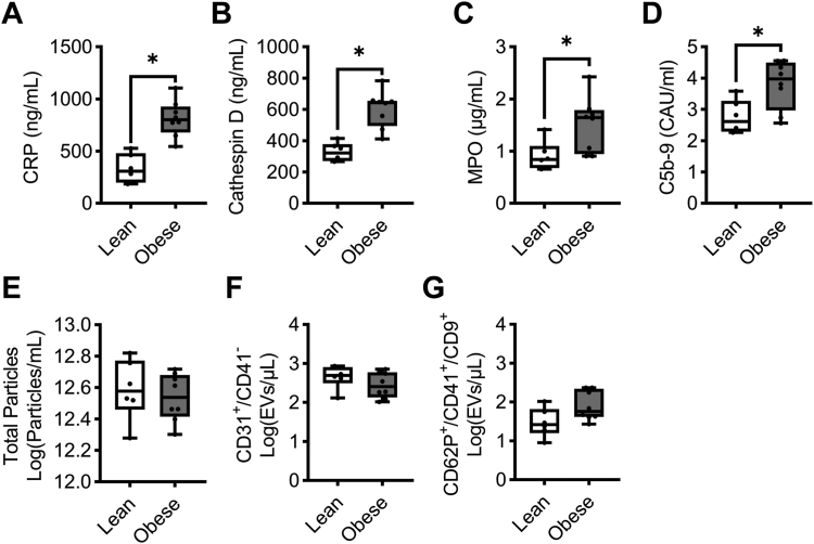 Figure 3