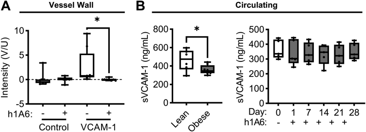 Figure 7