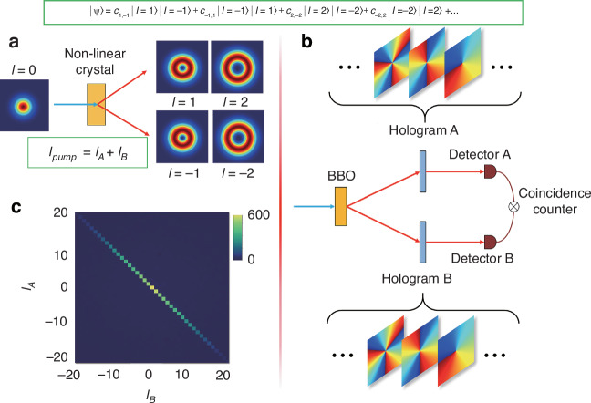 Fig. 11