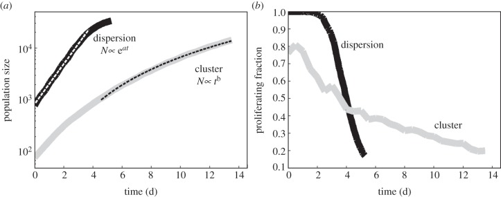 Figure 10.