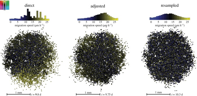 Figure 4.