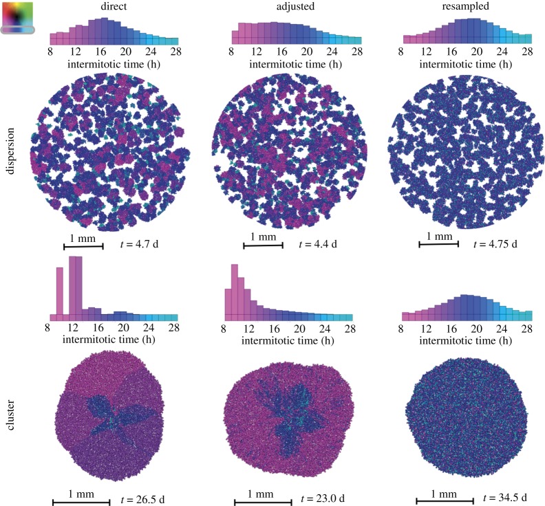 Figure 3.