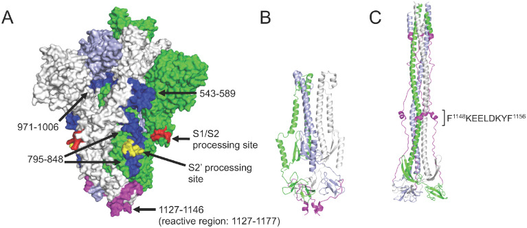 Figure 3.