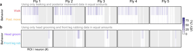 Figure 2—figure supplement 1.