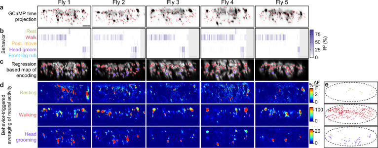 Figure 2—figure supplement 2.