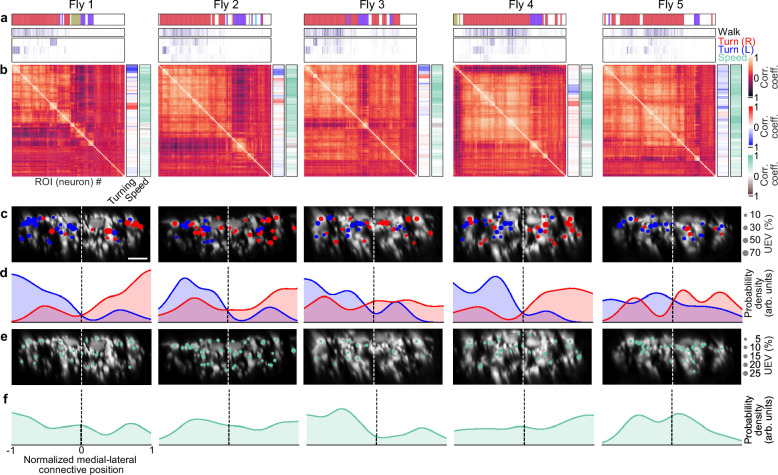 Figure 3—figure supplement 2.