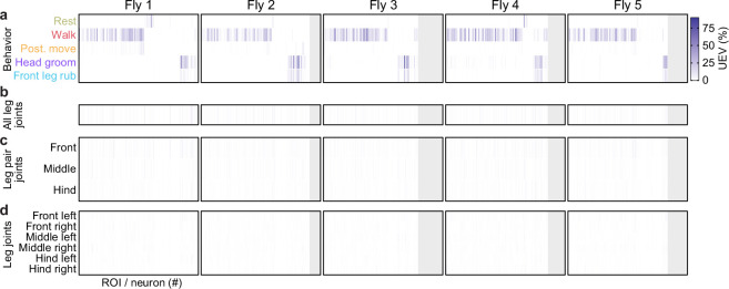 Figure 2—figure supplement 3.