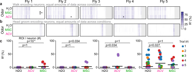 Figure 4—figure supplement 2.