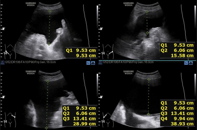 Fig. 5.