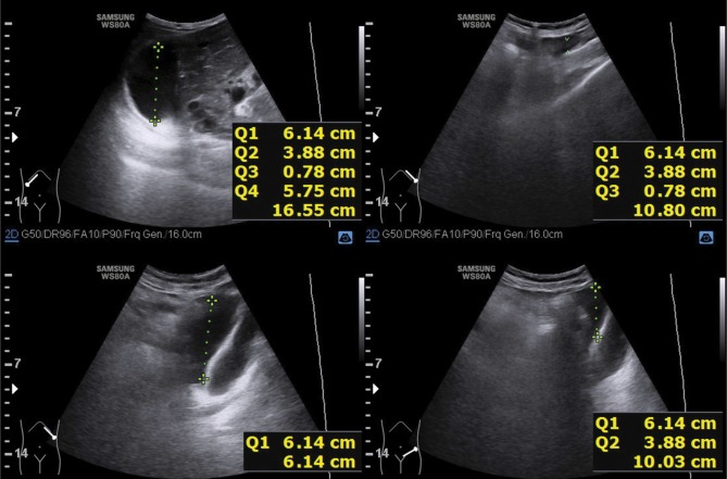 Fig. 6.