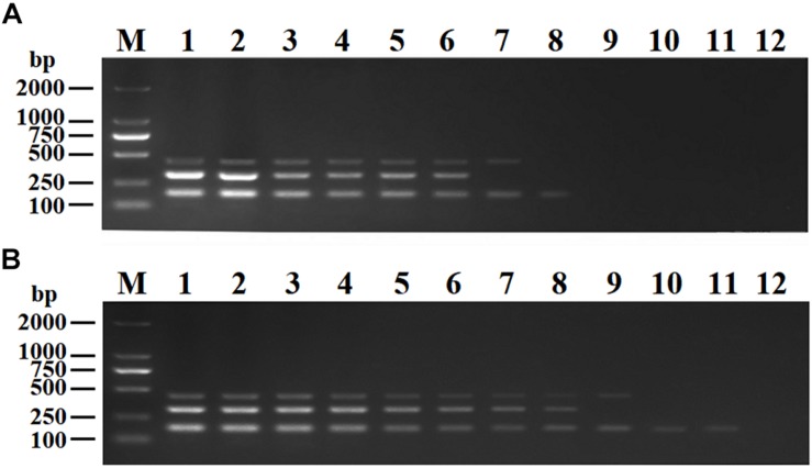 FIGURE 6