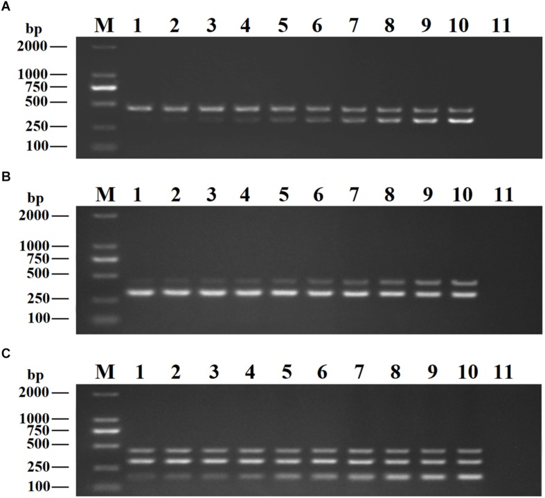 FIGURE 3