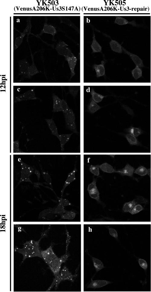 FIG. 8.