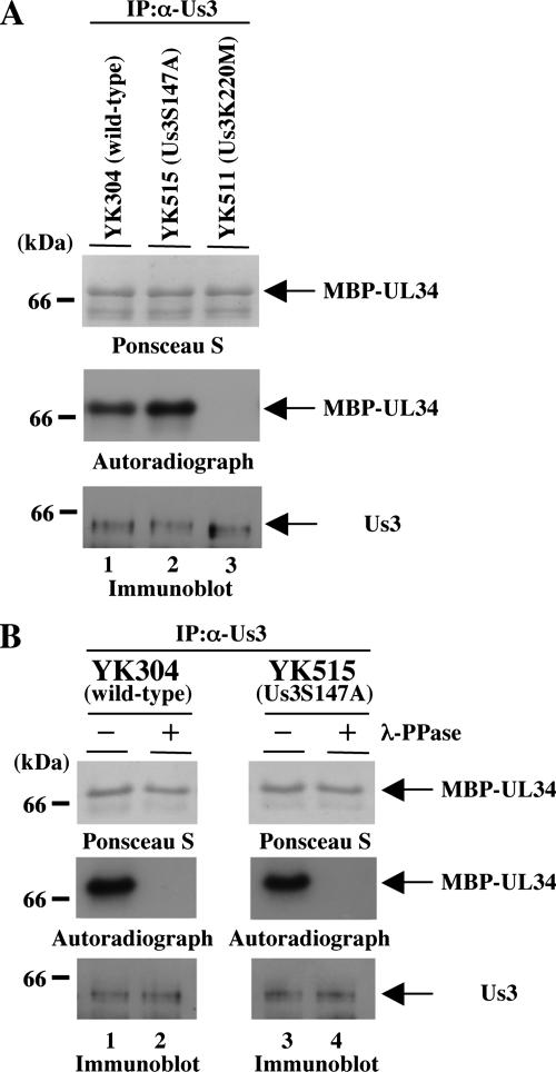 FIG. 11.