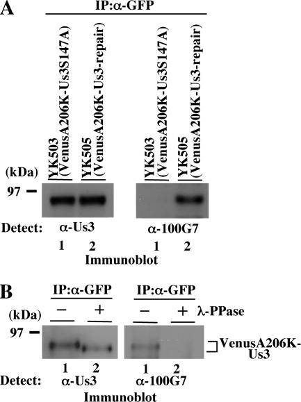 FIG. 7.