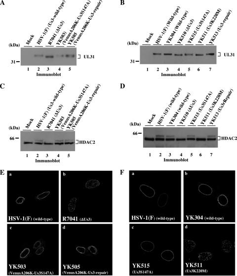 FIG. 10.