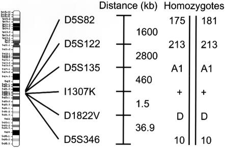 Figure  2