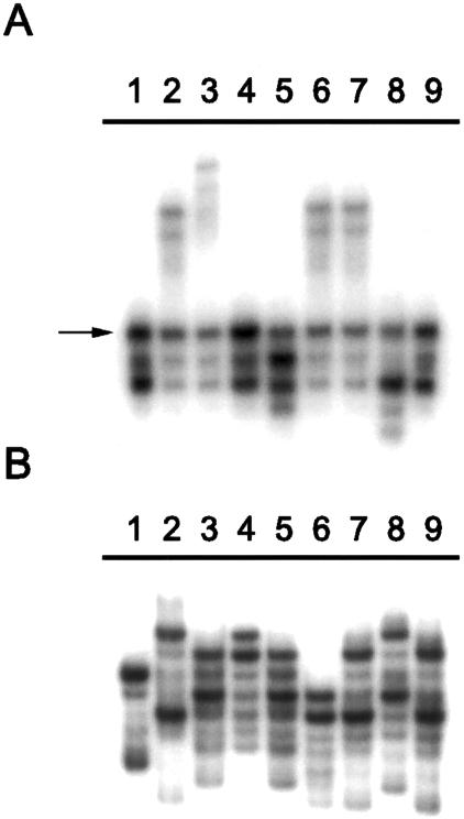 Figure  1