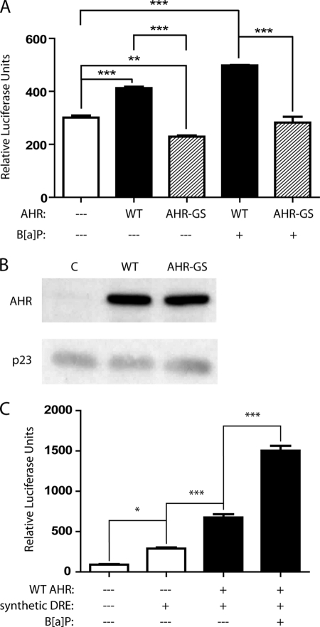 FIGURE 4.