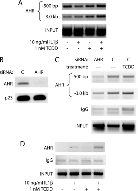 FIGURE 5.