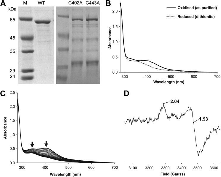 FIGURE 2.