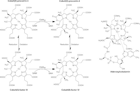 FIGURE 1.