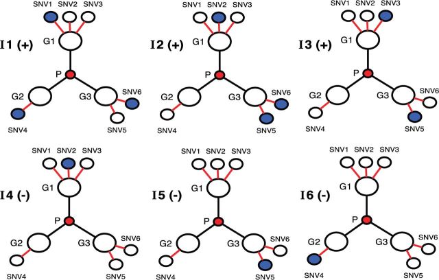 Figure 2: