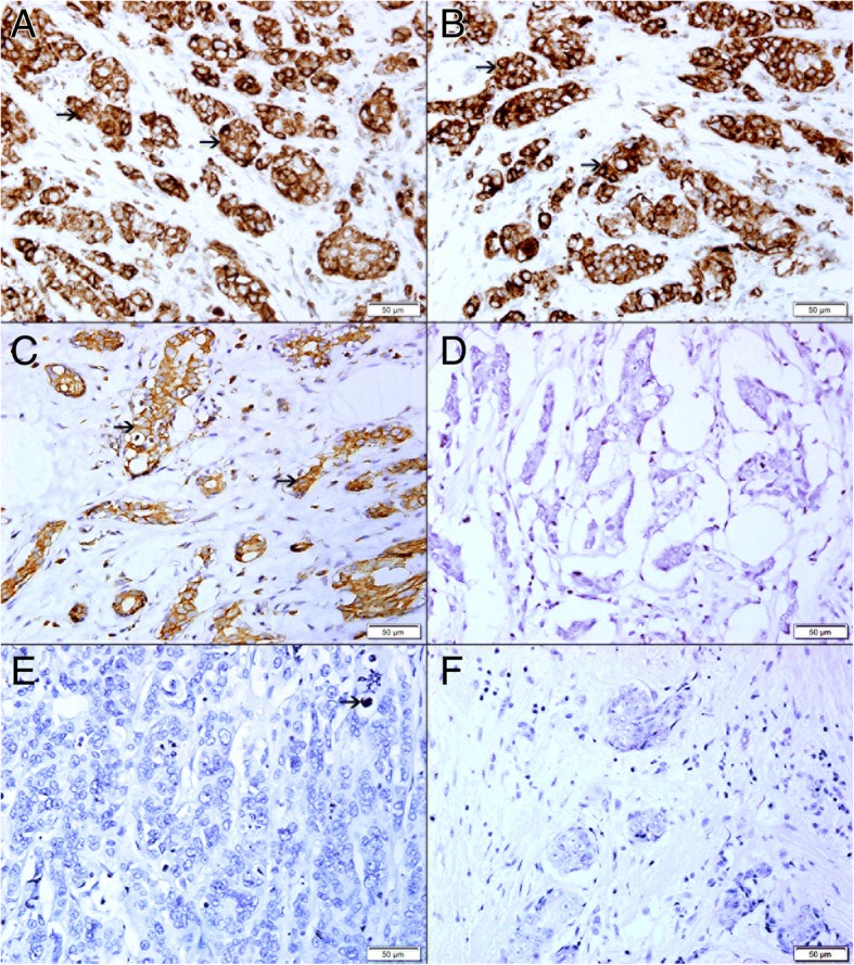 Fig. 10