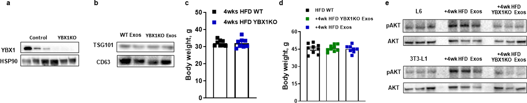 Extended Data Fig. 2