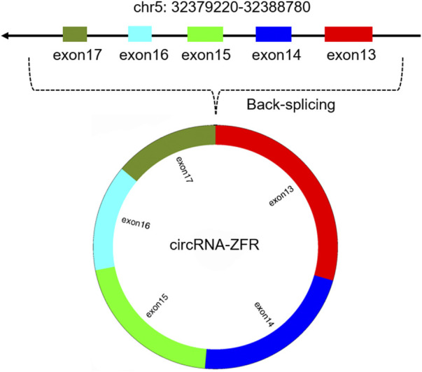 FIGURE 1